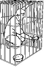 Ilustracija: zatvoren u metalnom kavezu 
