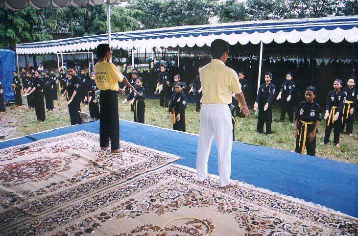 Mladi učenici borilačkih vještina uče i vježbaju Falun Gong vježbe 
 