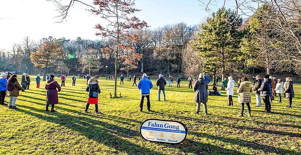 Nakon učenja Dafa učenja, praktikanti su, popodne 5. januara 2019. godine, izvodili Dafa vježbe u parku u blizini Linneplatsena.