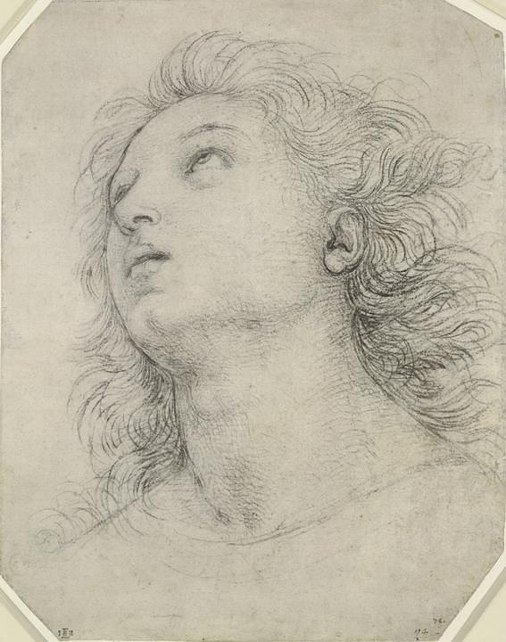 Glava apostola, crtež Rafaela. Ovaj crtež je bogat zaobljenim i glatkim linijama, nema ravnih obrisnih linija. 
 