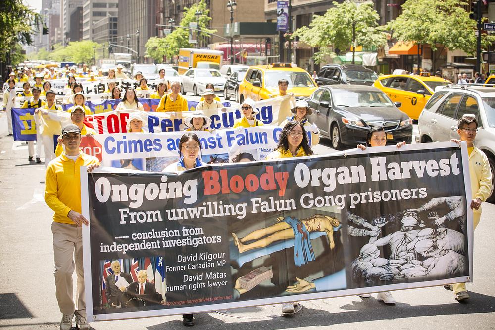 Ova jedinstvena parada na Manhattanu na radni dan predstavlja obnovljene napore Falun Dafa praktikanata da pozovu na okončanje 15-godišnjeg progona, a posebno zločina prisilnog otklanjanja organa.
