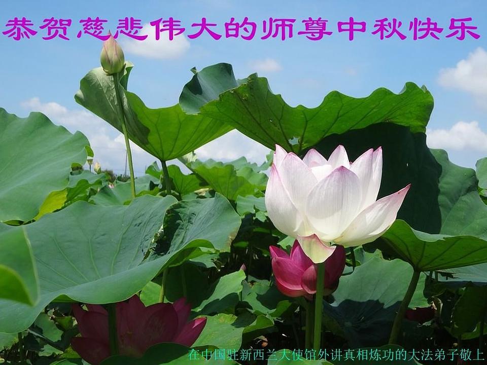 „Želimo Učitelju Liju sretan Praznik mjeseca!“ napisali su praktikanti koji često idu pred kinesku ambasadu da bi ljudima govorili o Falun Dafa i raskrinkavali propagandu mržnje koju širi Komunistička partije Kine (KPK) 