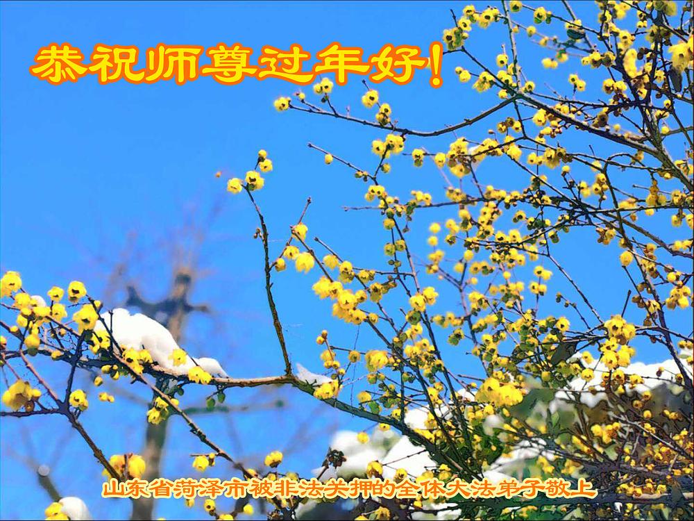 Novogodišnje čestitke koje su uputili praktikanti zatočeni zbog svoje vjere u gradu Heze u provinciji Shandong