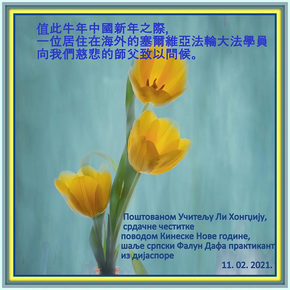 Falun Dafa praktikanti iz Srbije koji žive u inozemstvu s poštovanjem žele cijenjenom Učitelju sretnu kinesku Novu godinu!