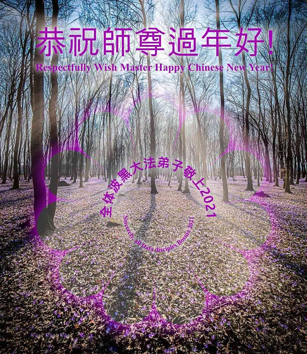 Falun Dafa praktikanti iz Bosne i Hercegovine s poštovanjem žele cijenjenom Učitelju sretnu kinesku Novu godinu!