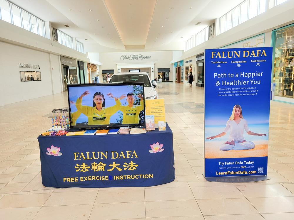 Informativni štand Falun Dafa u trgovačkom centru Walt Whitman na Long Islandu, u New Yorku.
 