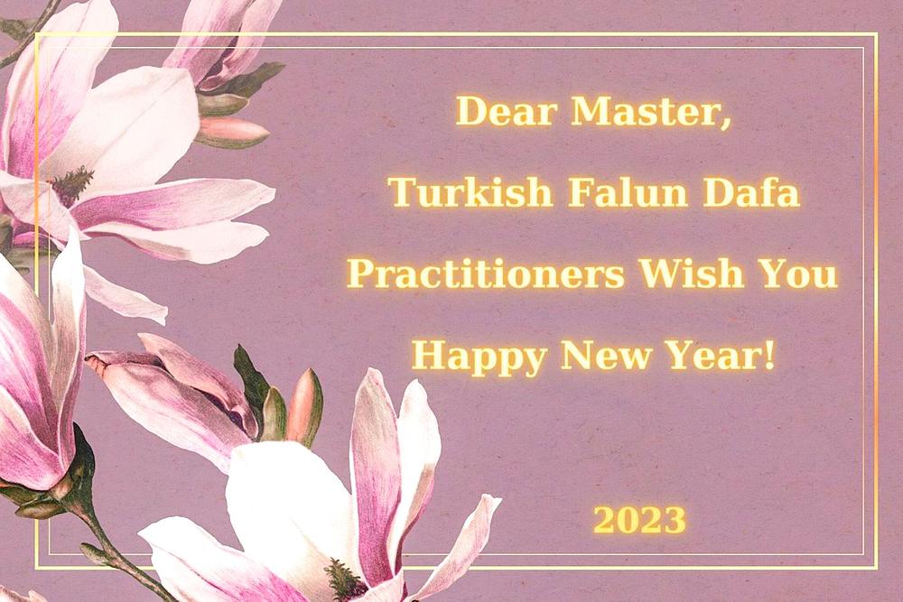 Turski praktikanti žele Učitelju Liju sretnu Novu godinu.
