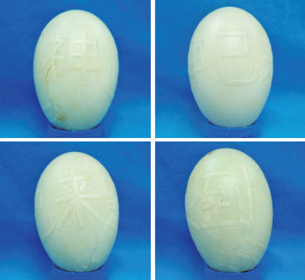 Guščje jaje s kineskim riječima