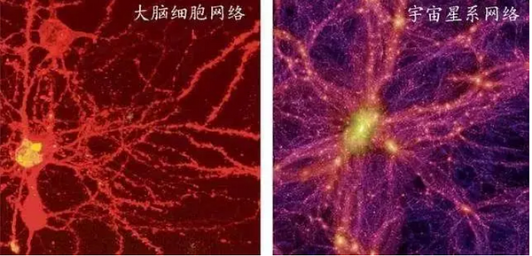 Neuronska mreža u mozgu (levo) i struktura univerzuma (desno)