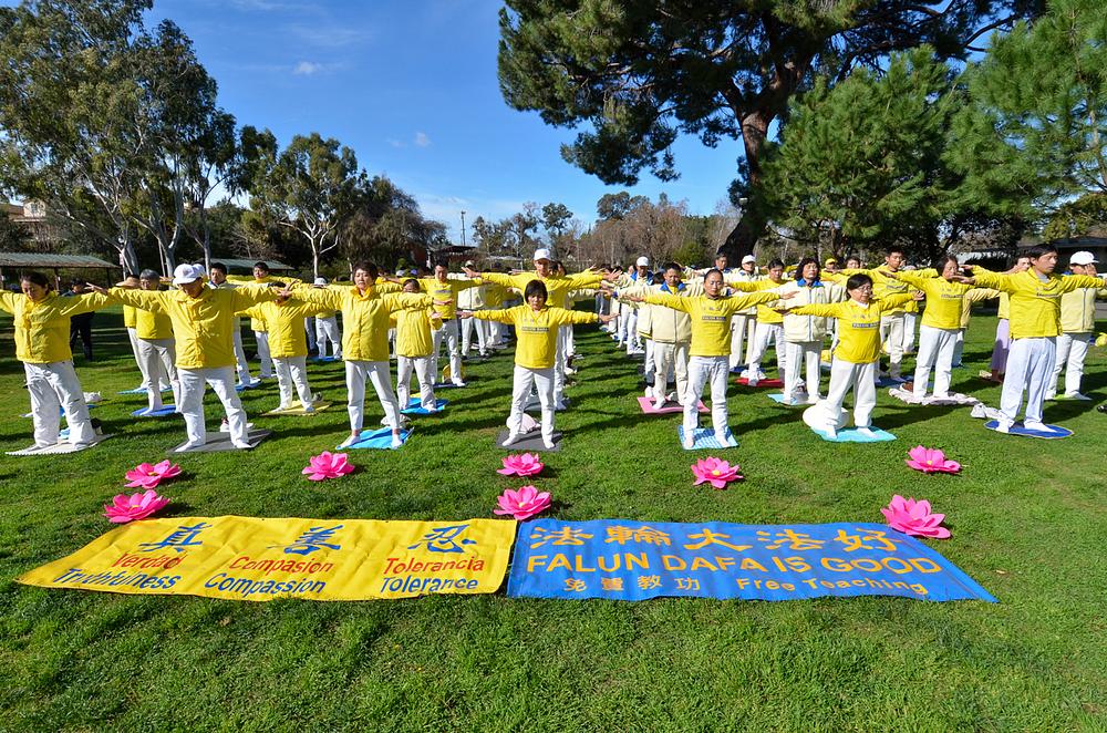  Praktikanti demonstriraju vežbe Falun Dafe u parku Vincent Lugo.

