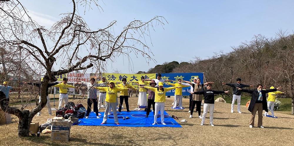 Falun Dafa praktikanti vježbaju na travnjaku u Suigen Parku tokom Festivala cvijeta trešnje 2024.