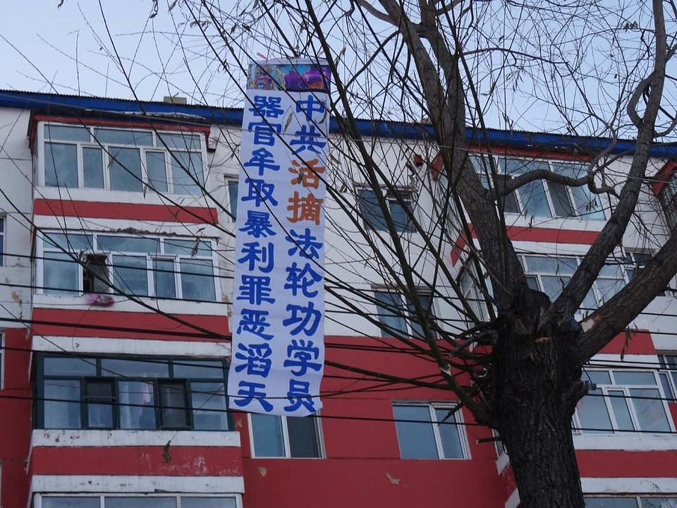 Transparent u gradu Jiamusiu u provinciji Heilongjiang sa riječima: „Prestanite sa prisilnom žetvom organa od praktikanata Falun Dafa.“