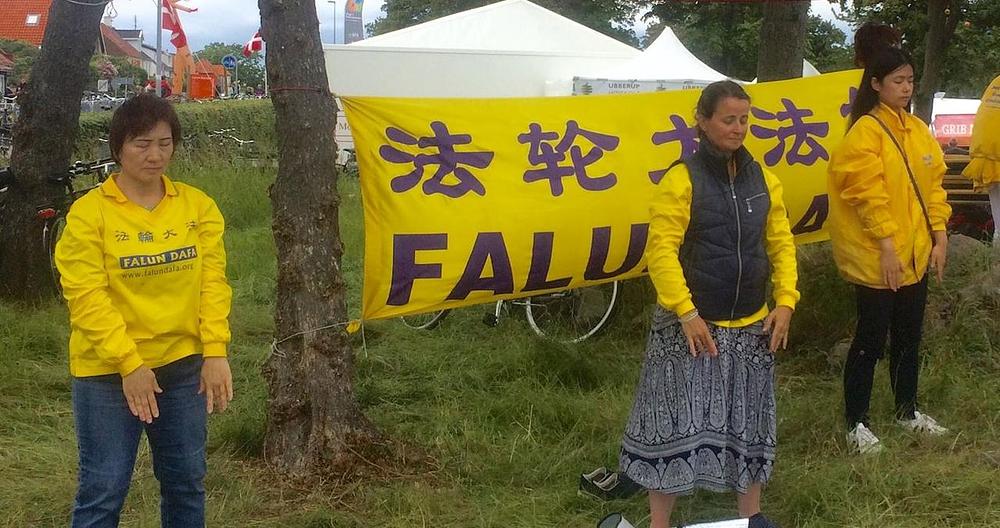 Danski praktikanti Falun Gonga izvode vježbe.