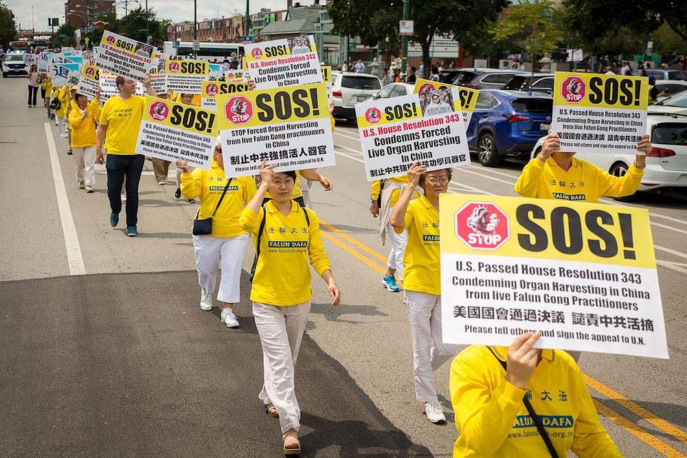 Budući je Falun Gong 1999. godine zabranjen od kineskog režima, praktikanti su od tada sistematski pritvarani, mučeni i čak ubijani radi uzimanja njihovih organa. 