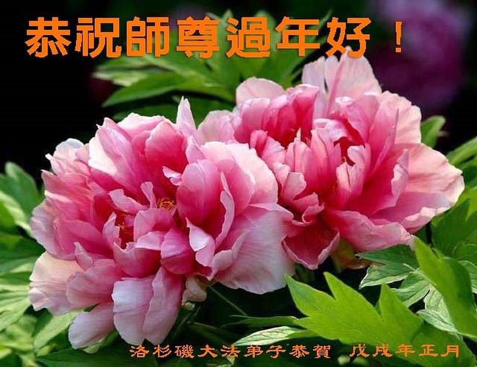 Falun Dafa praktikanti iz Los Angelesa s poštovanjem žele Učitelju Li Hongzhiju srećnu Kinesku novu godinu! 