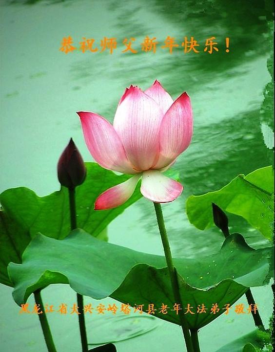 Stariji praktikant iz Daxing