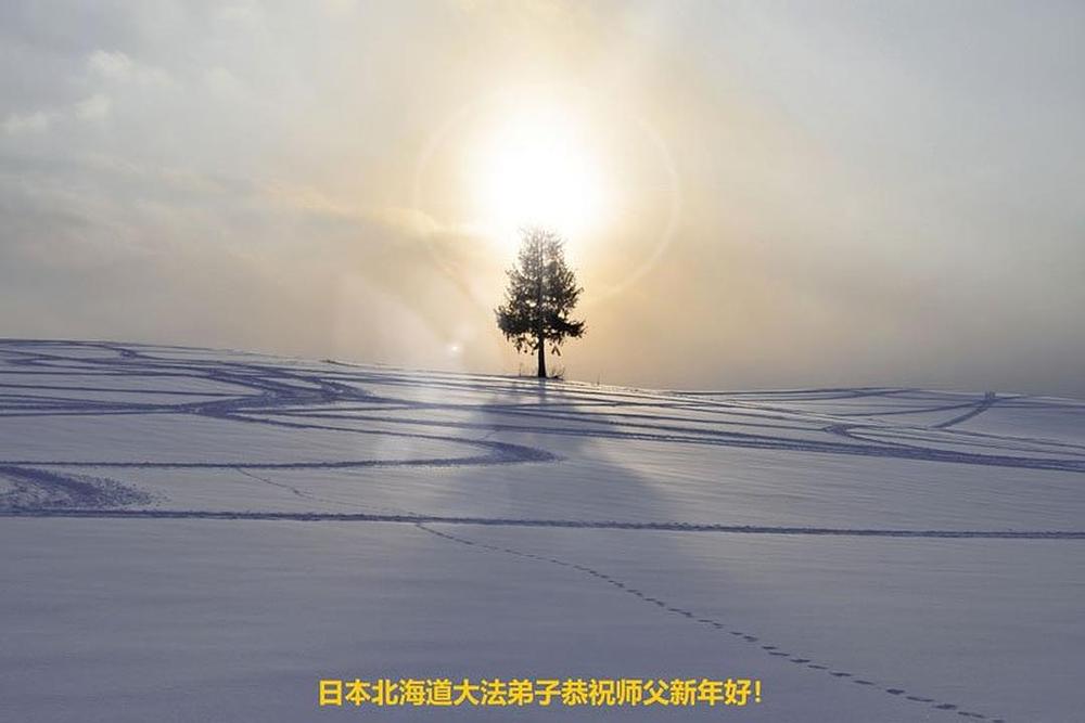 Čestitka Učitelju od praktikanata  u Hokaidu