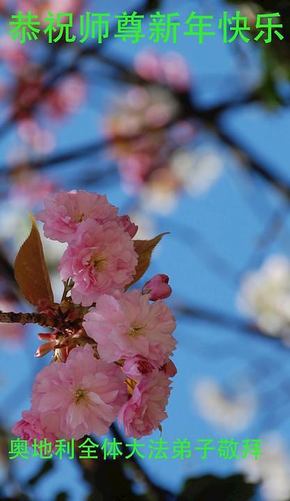 Falun Dafa praktikanti iz Austrije s poštovanjem žele uzvišenom Učitelju Sretnu Novu Godinu!