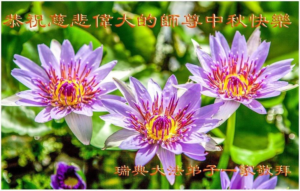 Čestitka iz Švedske