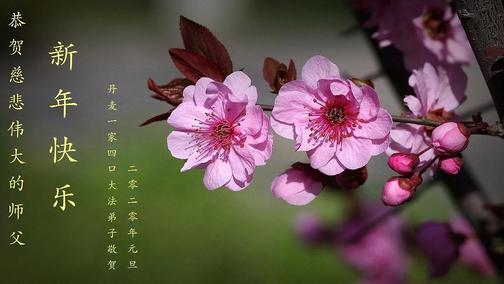 Praktikanti iz Danske žele Učitelju Liju sretnu Novu godinu!