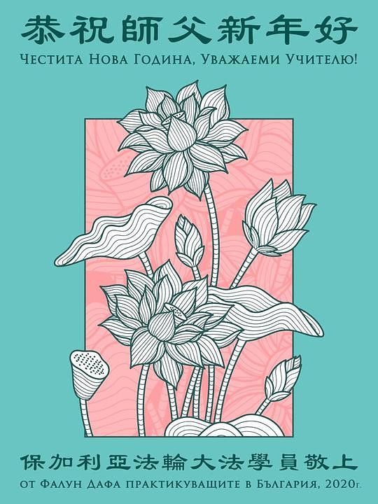 Čestitke praktikanata iz Bugarske