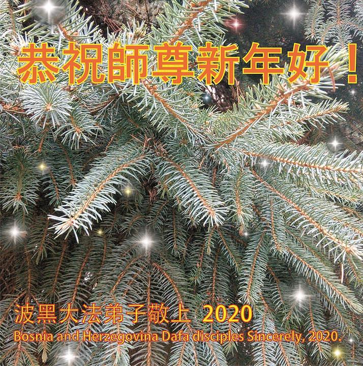 Čestitke Dafa praktikanata iz Bosne i Hercegovine
