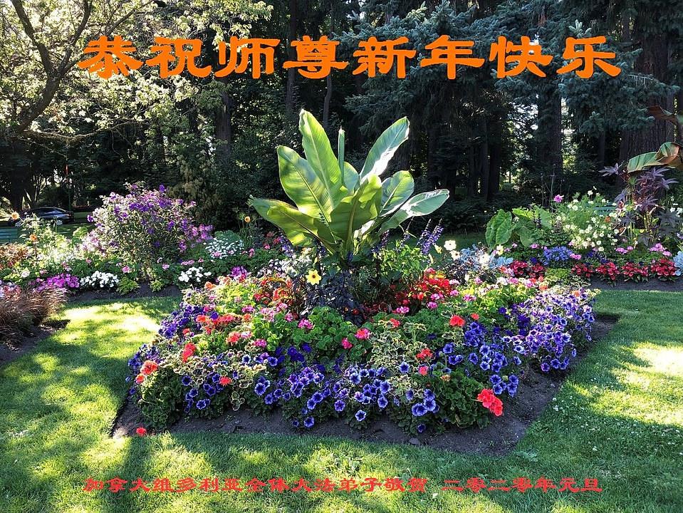 Čestitka Učitelju od praktikanata iz Victorije