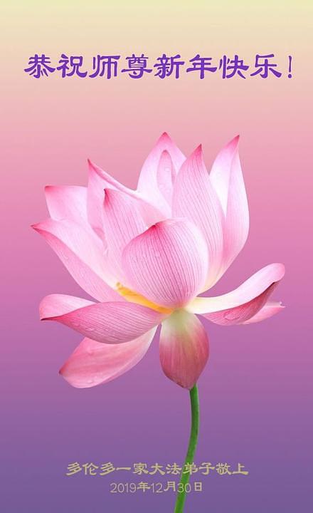 Čestitka Učitelju od porodice praktikanata iz Toronta