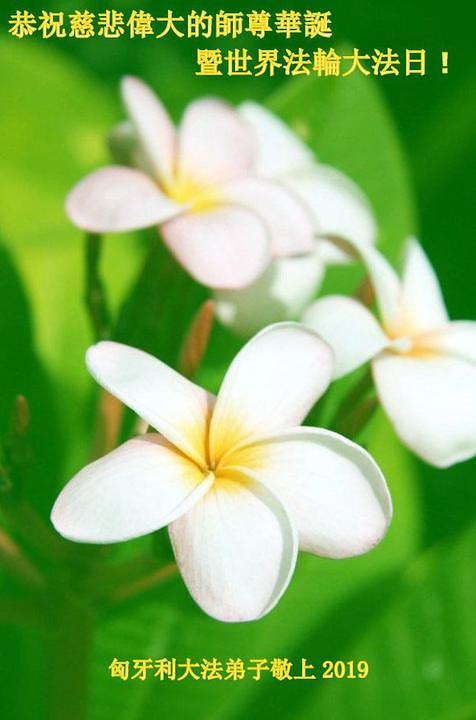 Čestitka  povodom svjetskog Falun Dafa dana od praktikanata iz Mađarske