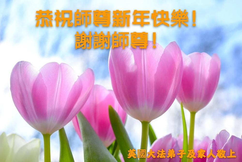 Pozdrav praktikanata iz Velike Britanije