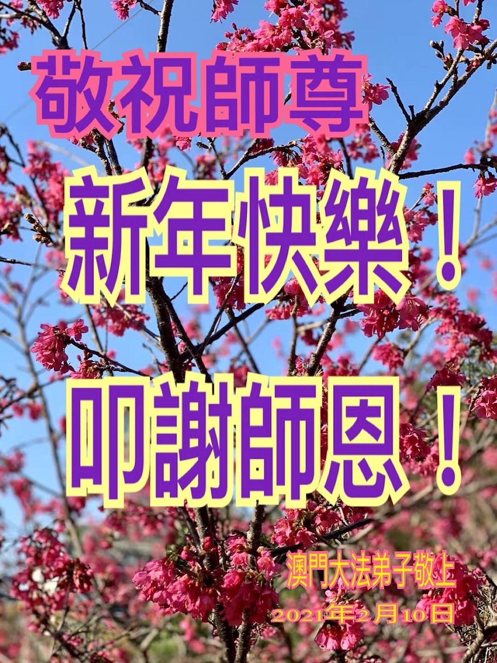 Praktikanti u Macau žele Učitelju Liju  sretnu Novu godinu.
