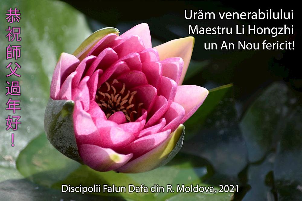 Pozdrav od praktikanata iz Moldavije