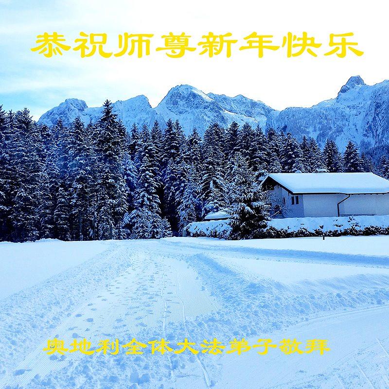 Austrijski praktikanti žele Učitelju Liju sretnu Novu godinu.