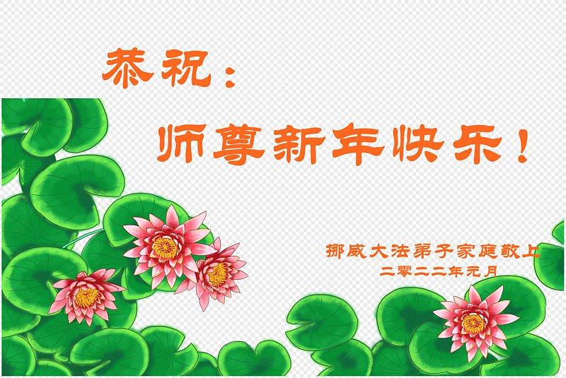  Falun Dafa praktikanti iz Norveške s poštovanjem žele poštovanom Učitelju srećnu kinesku novu godinu!