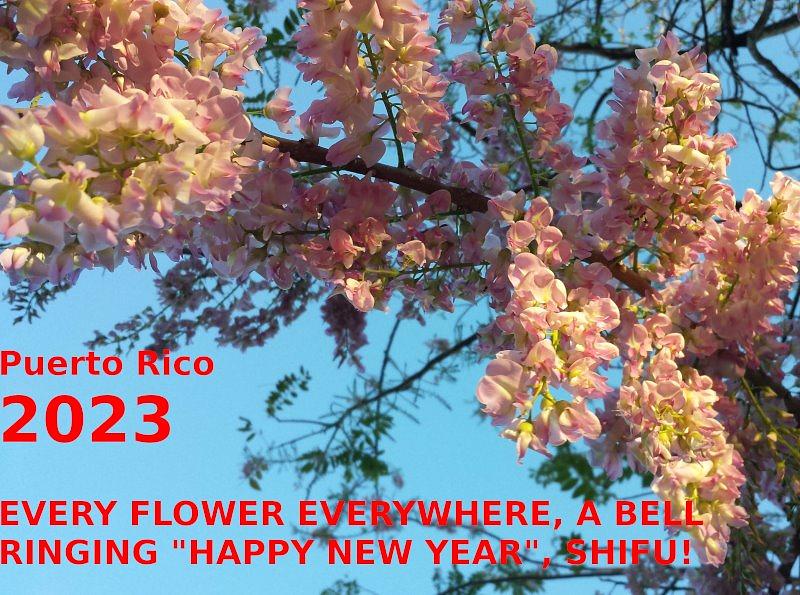 Pozdravi su primljeni od praktikanata u Portoriku i Karipskim otocima.