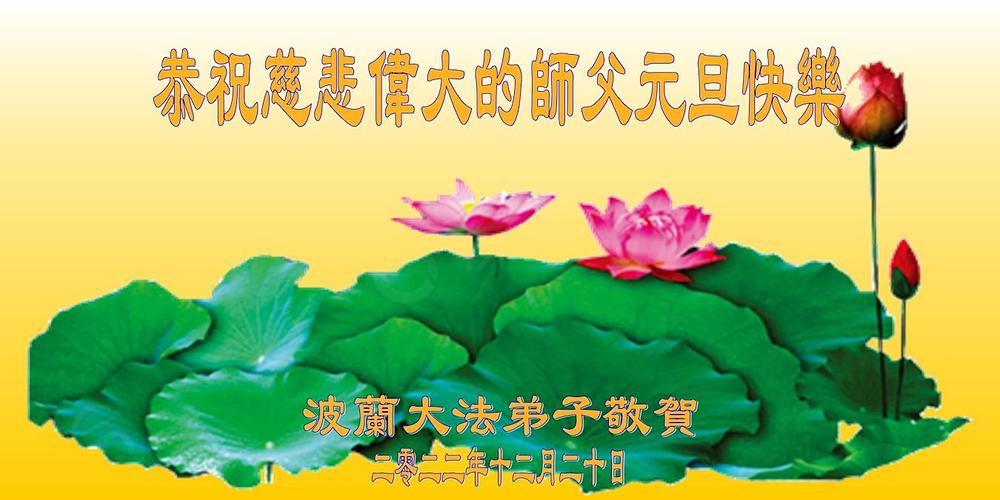 Iskreni pozdravi od poljskih praktikanata