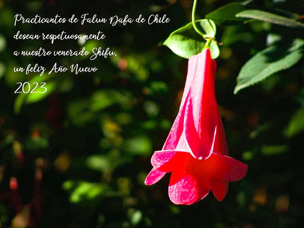 Topli pozdravi od Falun Dafa praktikanata u Čileu.