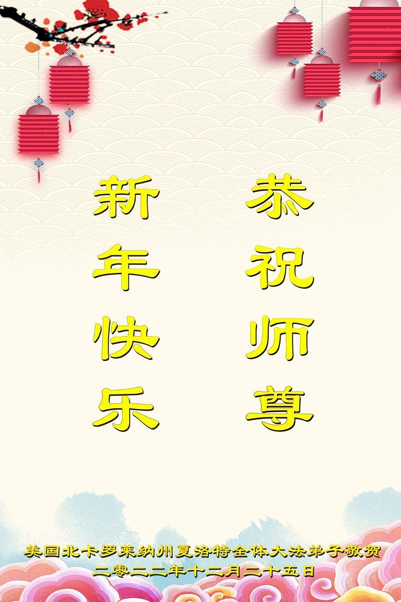 Praktikanti u Charlotte, Sjeverna Karolina, žele Učitelju Liju sretnu Novu godinu.