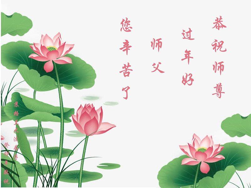 Škotski praktikanti žele Učitelju Liju sretnu Novu godinu