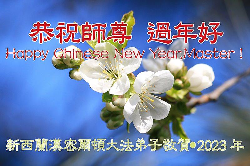 Novogodišnja čestitka iz Hamiltona na Novom Zelandu