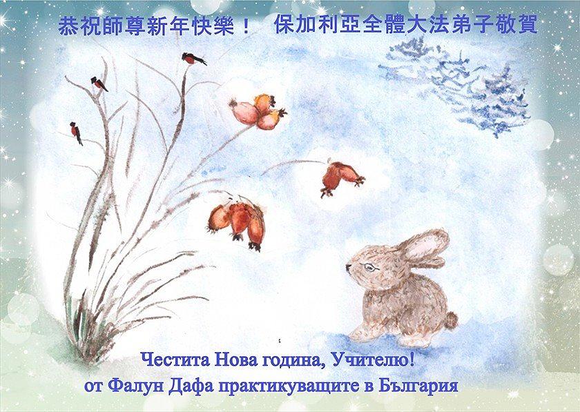 Praktikanti iz Bugarske žele Učitelju Liju sretnu Novu godinu