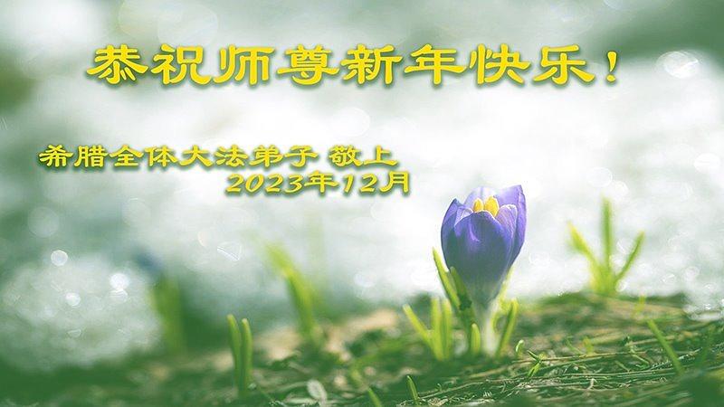 Grčki praktikanti su poslali svoje čestitke.