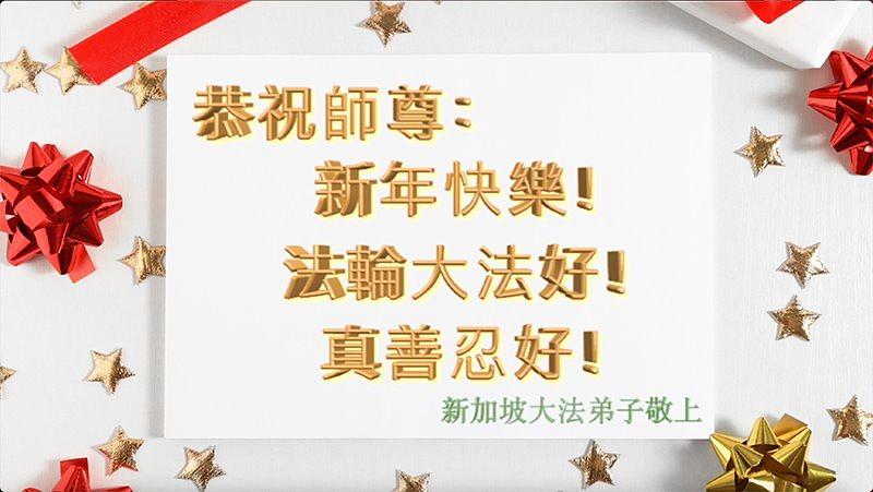 Novogodišnje čestitke praktikanata iz Singapura
