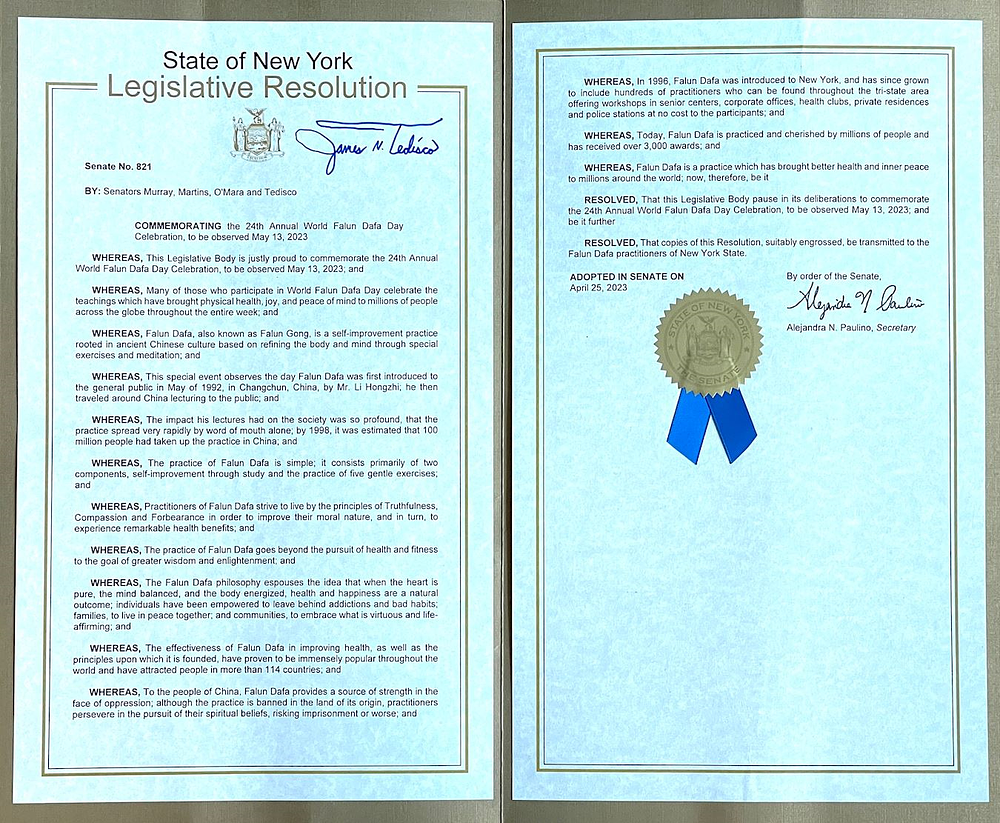 Rezolucija Senata države New York 821