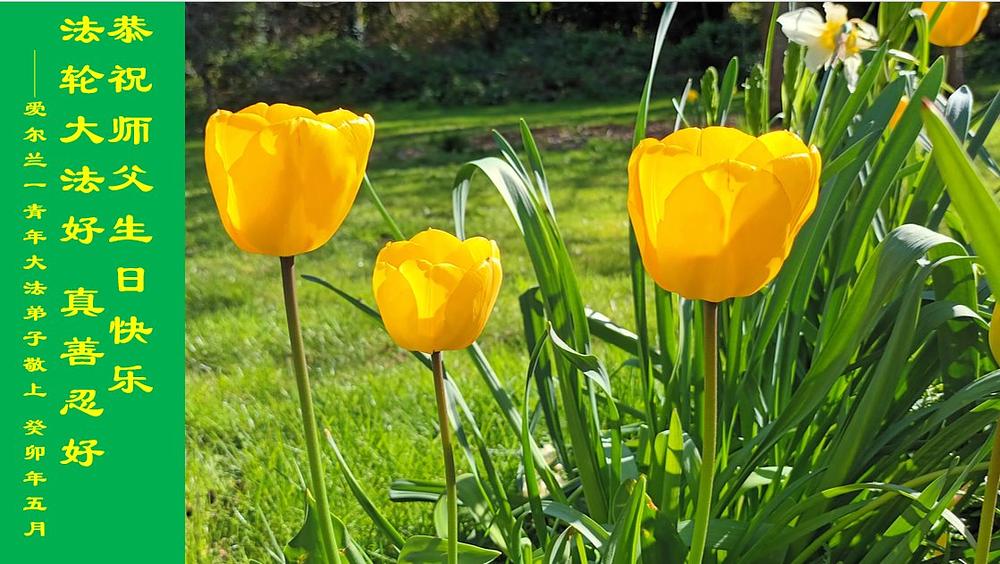 “Sretan rođendan, Učitelju  Li!” napisali su irski praktikanti. 