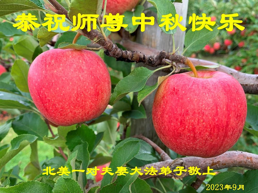  Čestitka bračnog para