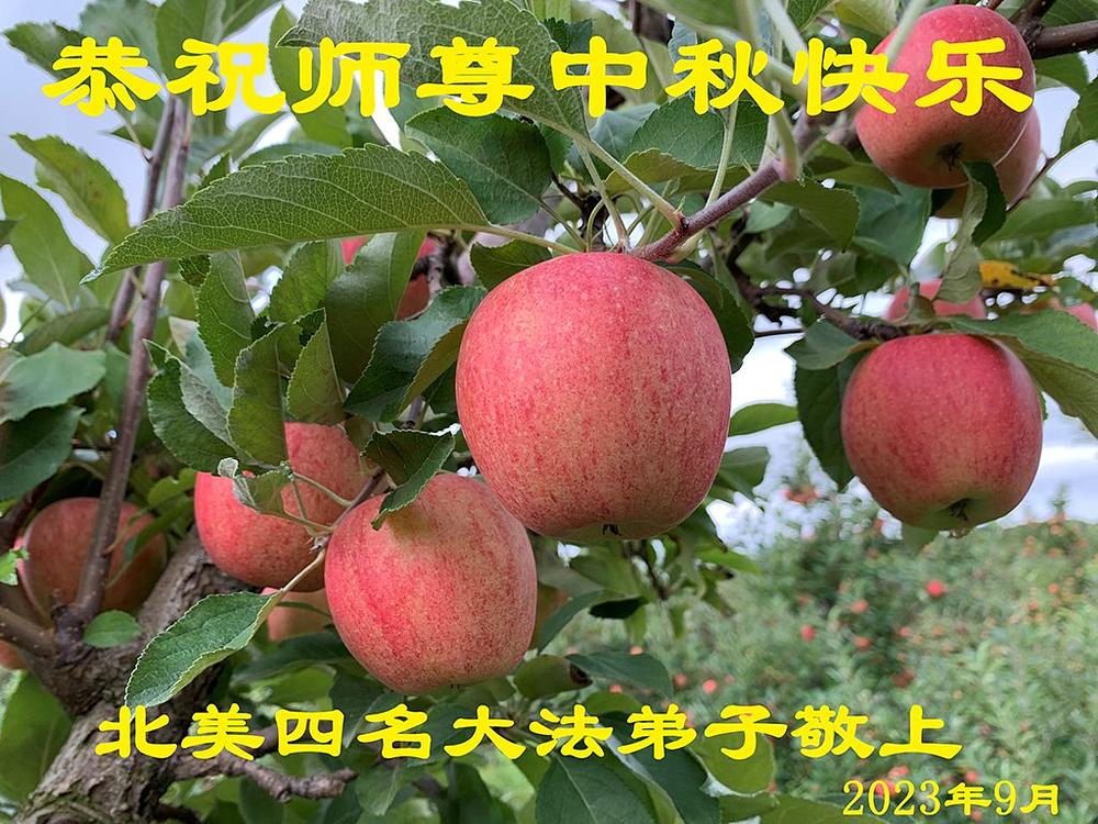  Čestitka praktikanata sa Floride