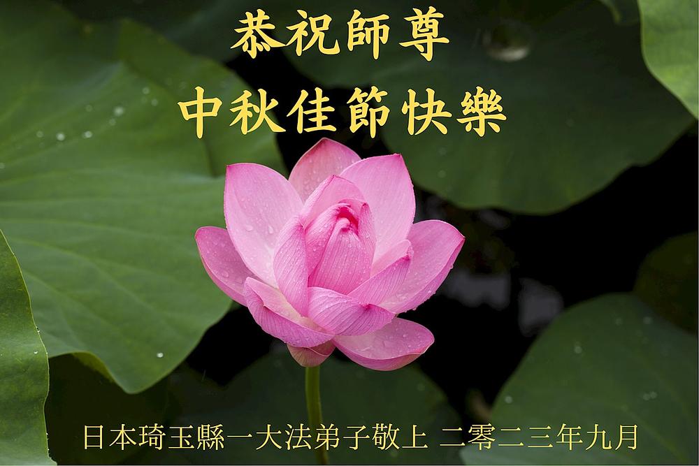   Pozdrav Učitelju Liju od praktikanata u Saitami